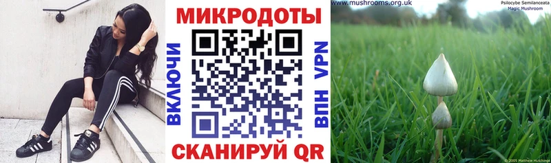 сколько стоит  Алушта  Псилоцибиновые грибы GOLDEN TEACHER 